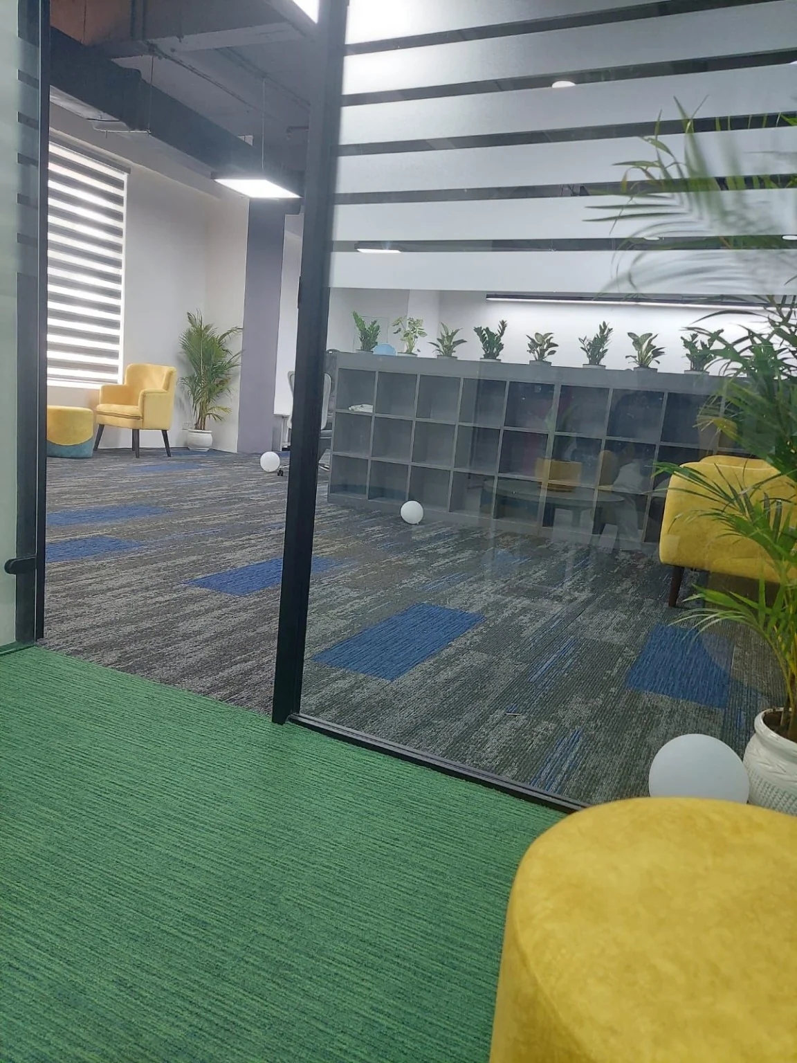 Frosted glass office partition