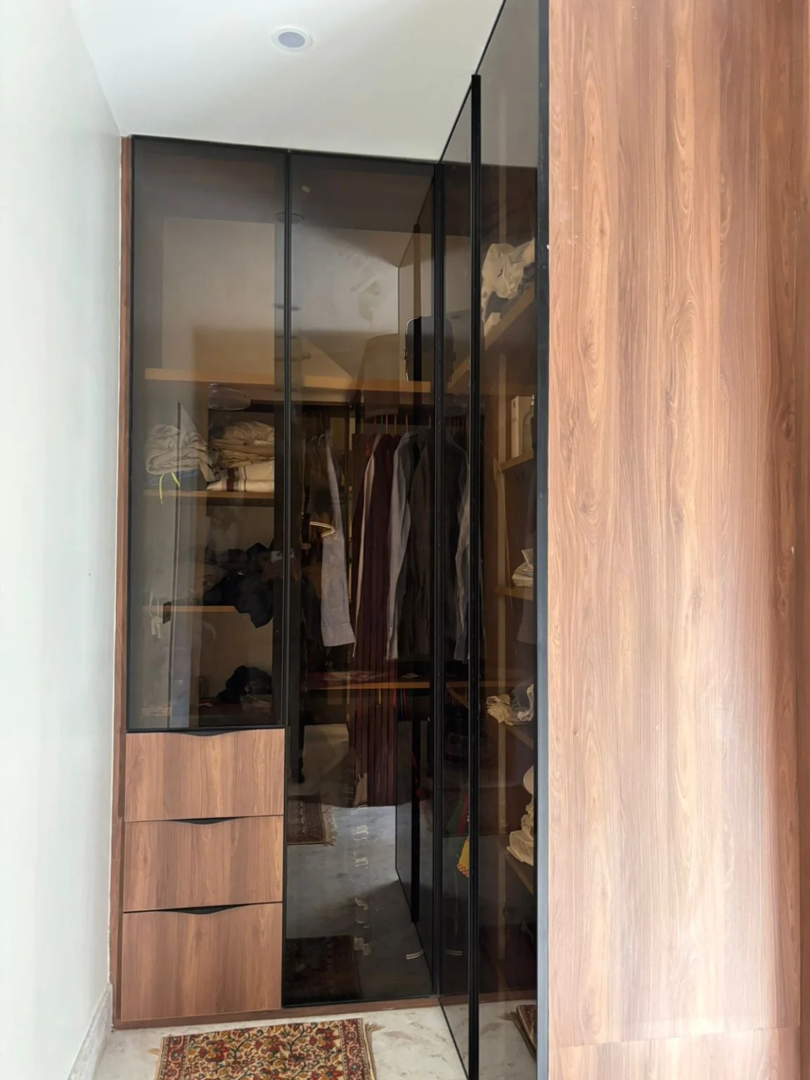 Tinted glass wardrobe shutter